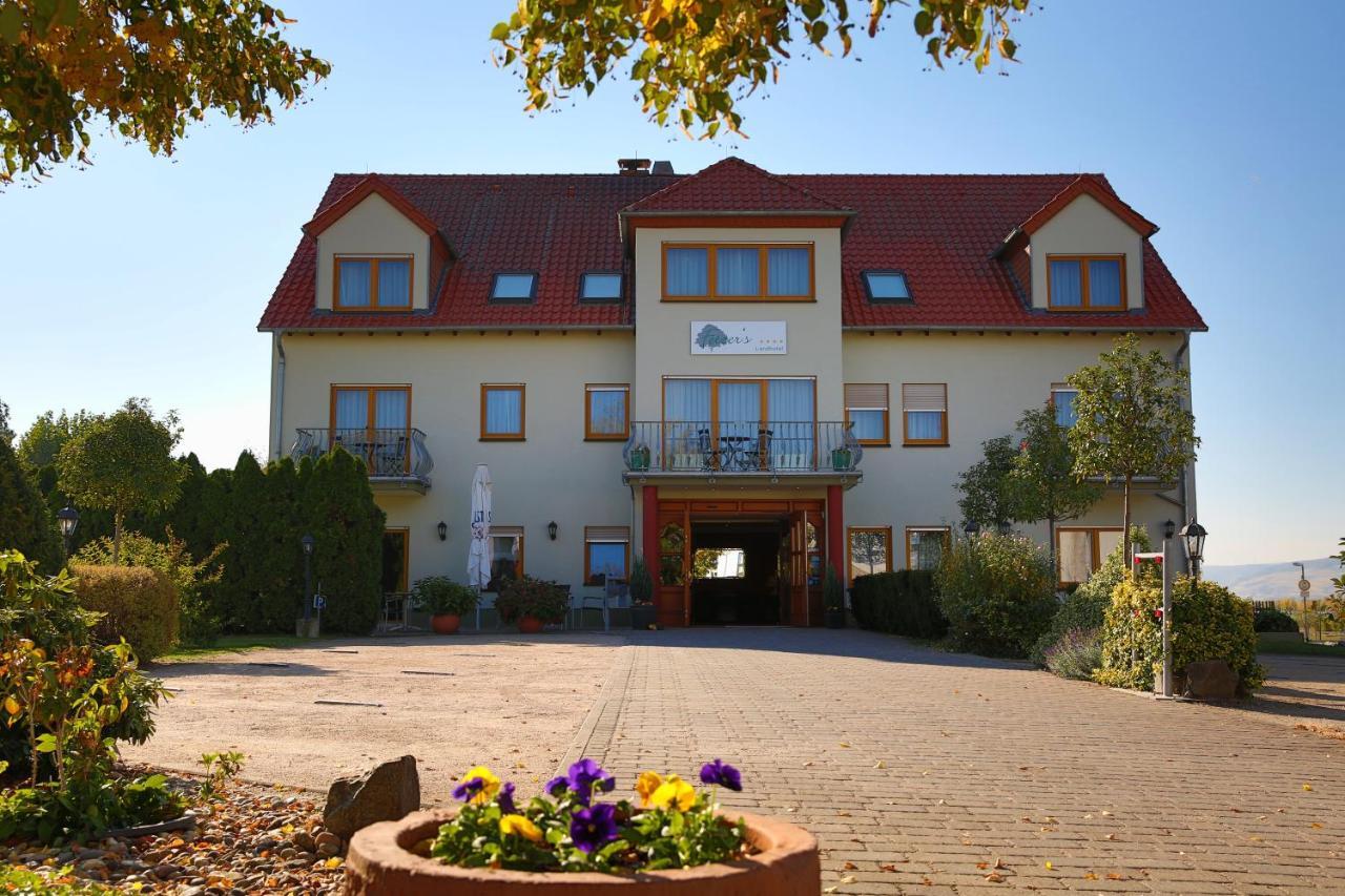 Fetzers Landhotel Ingelheim-sur-le-Rhin Extérieur photo