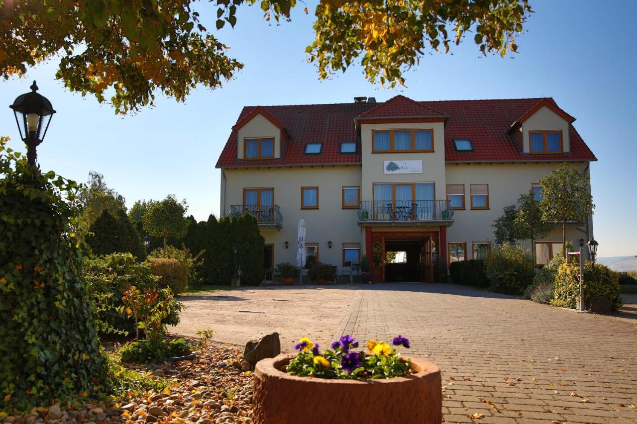 Fetzers Landhotel Ingelheim-sur-le-Rhin Extérieur photo